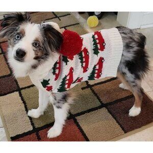 The Jingles & Joy Winter Sweater Red Christmas Truck w/ Tree Size Small Hooded